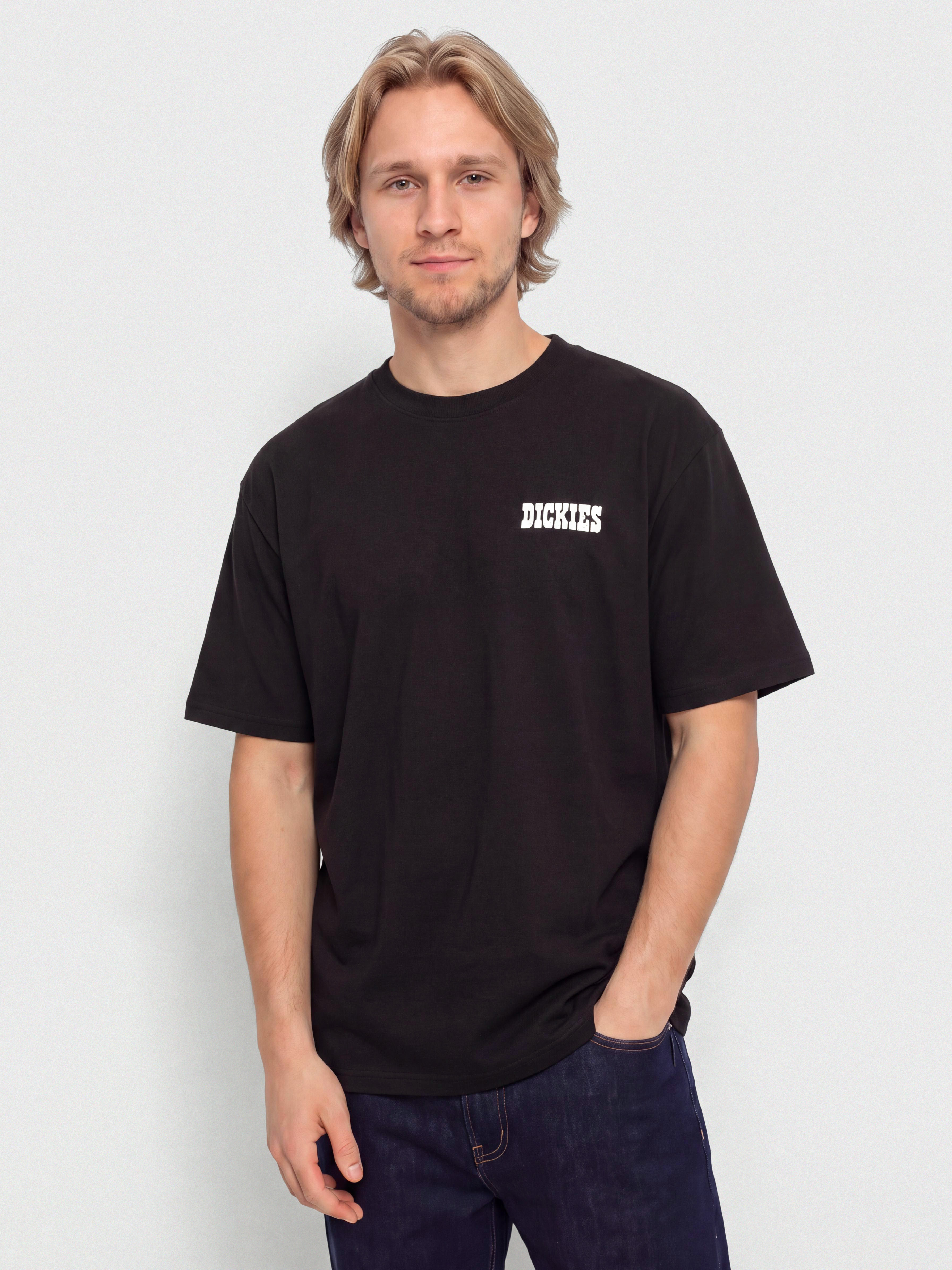 Тениска Dickies Plain City (black)