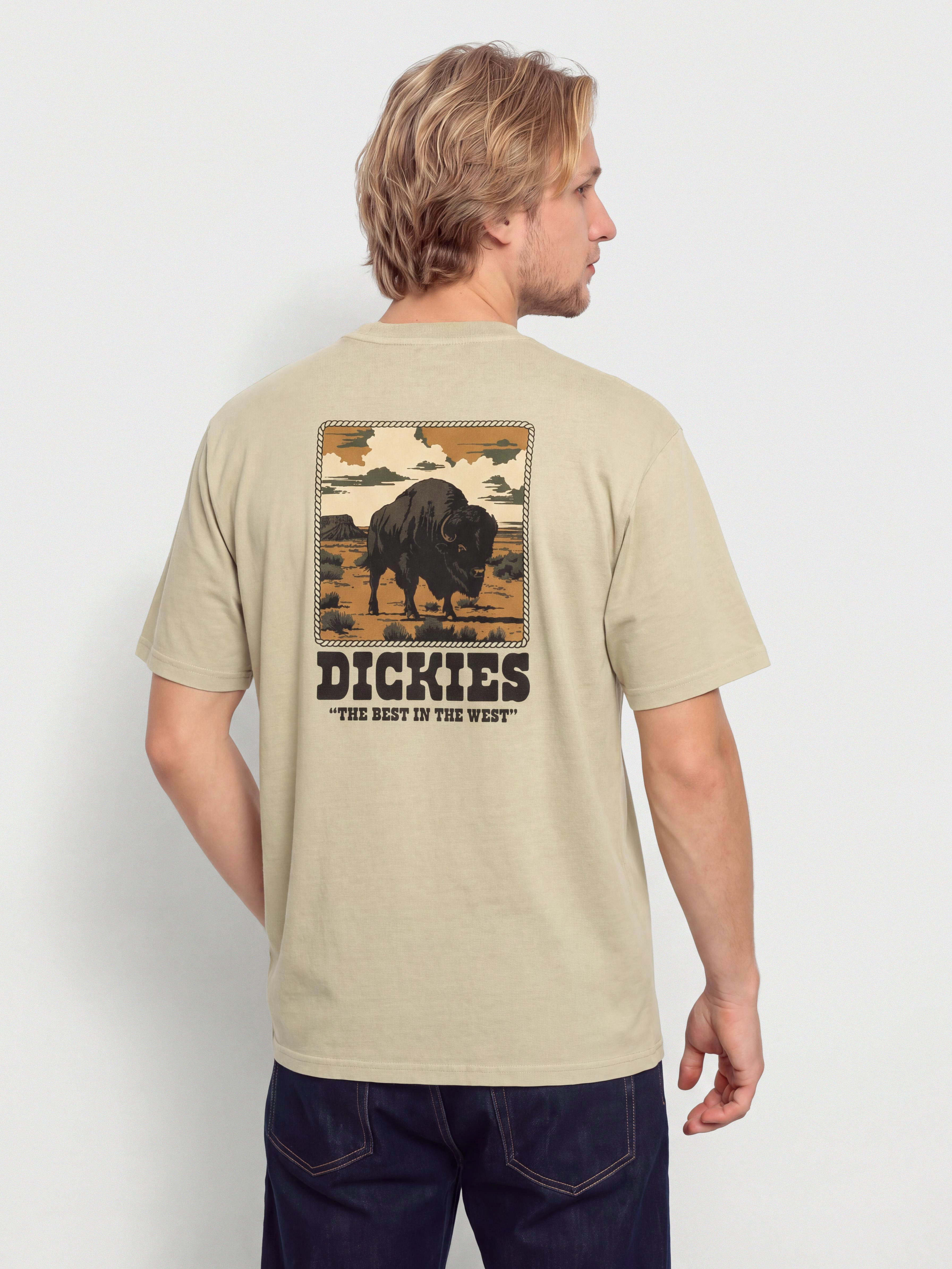 Тениска Dickies Darrtown (eucalyptus)
