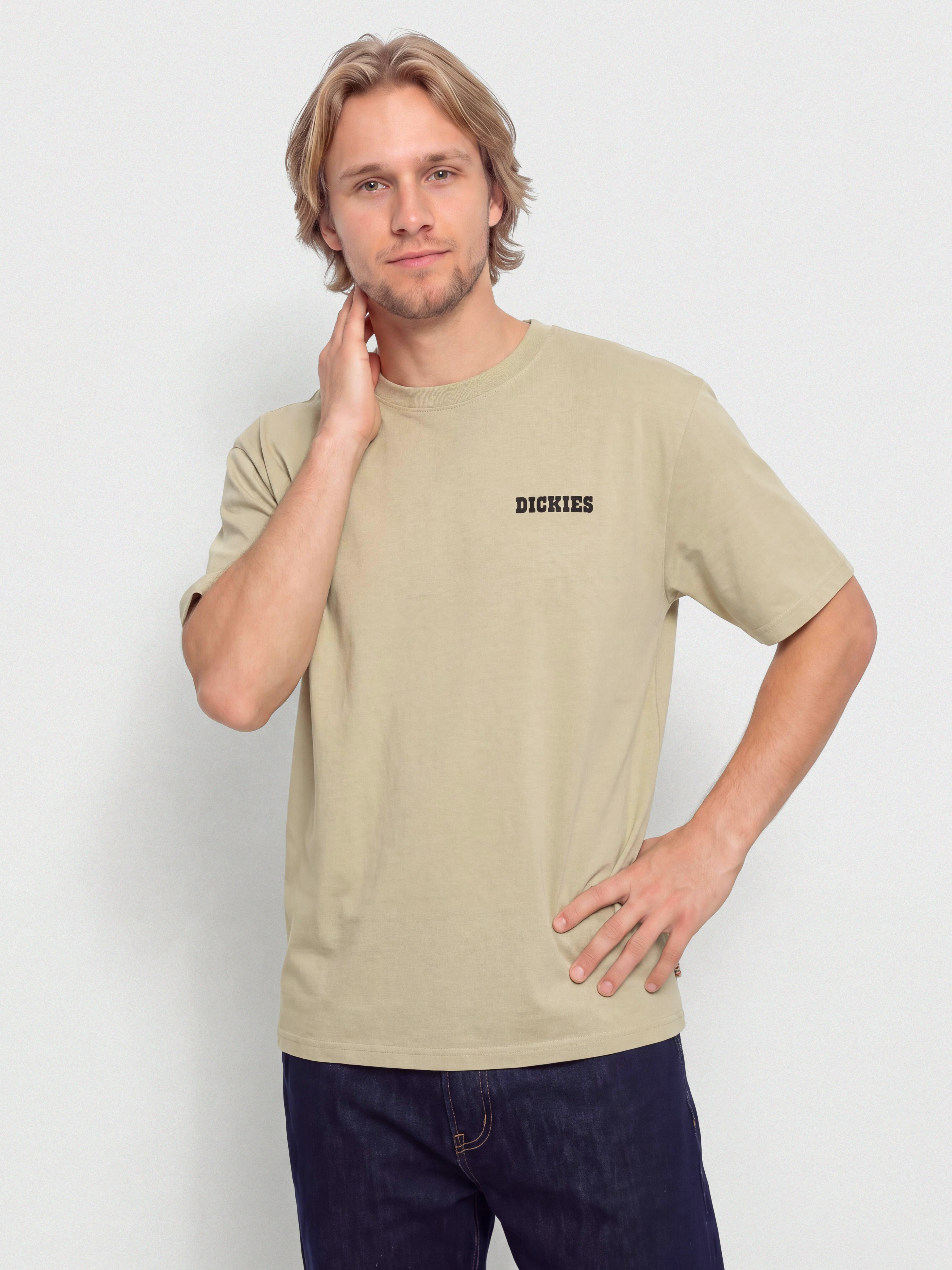 Тениска Dickies Darrtown (eucalyptus)