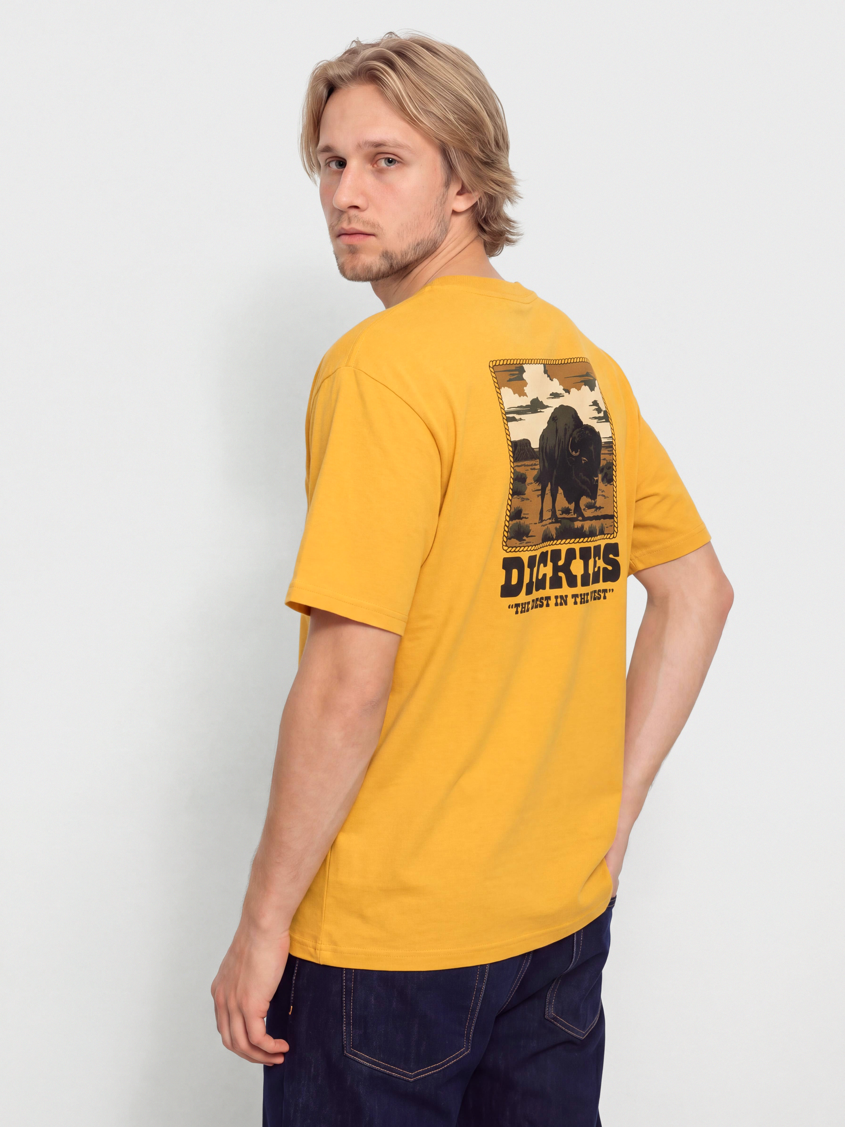 Тениска Dickies Darrtown