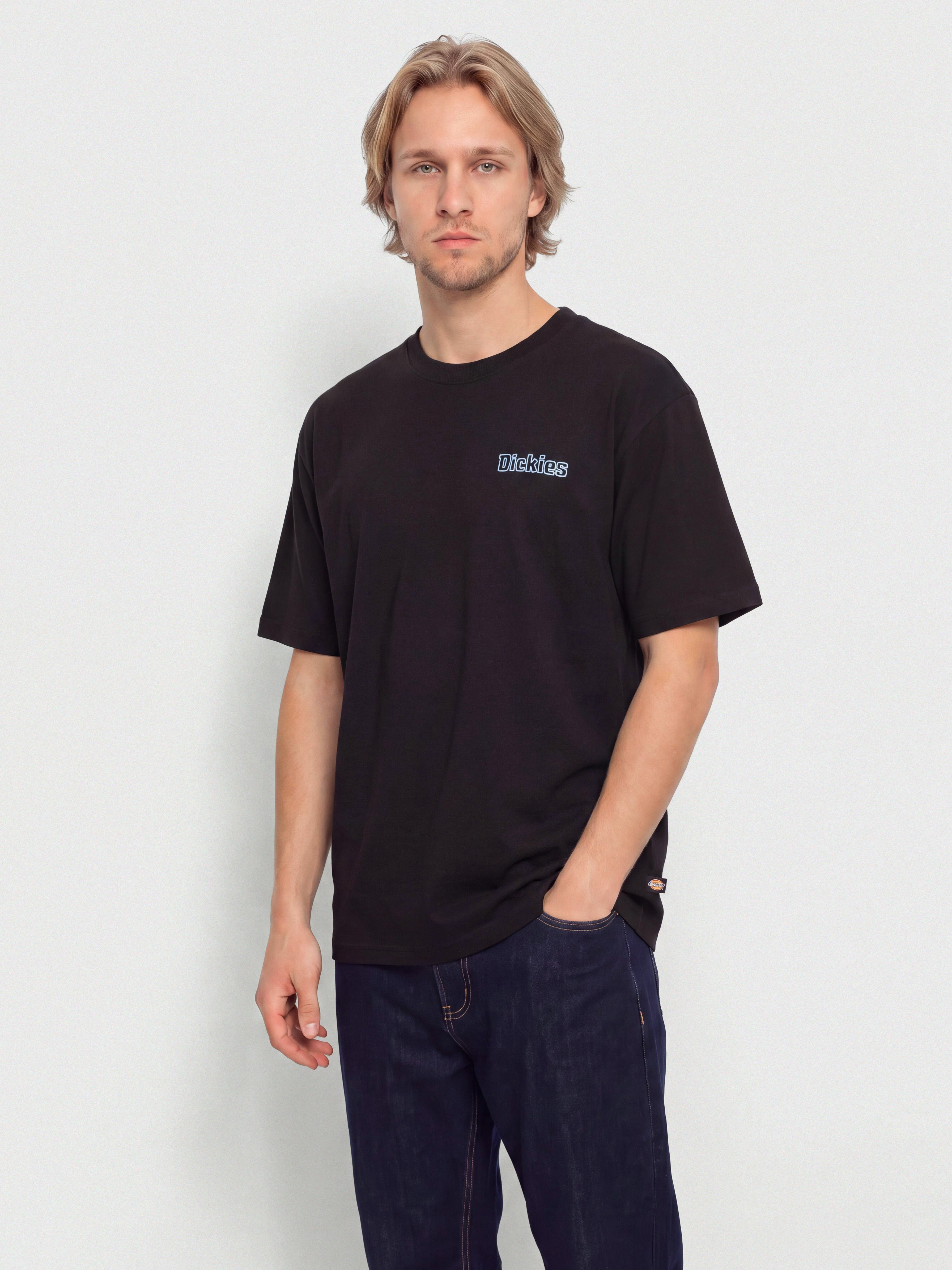 Тениска Dickies Fairlawn