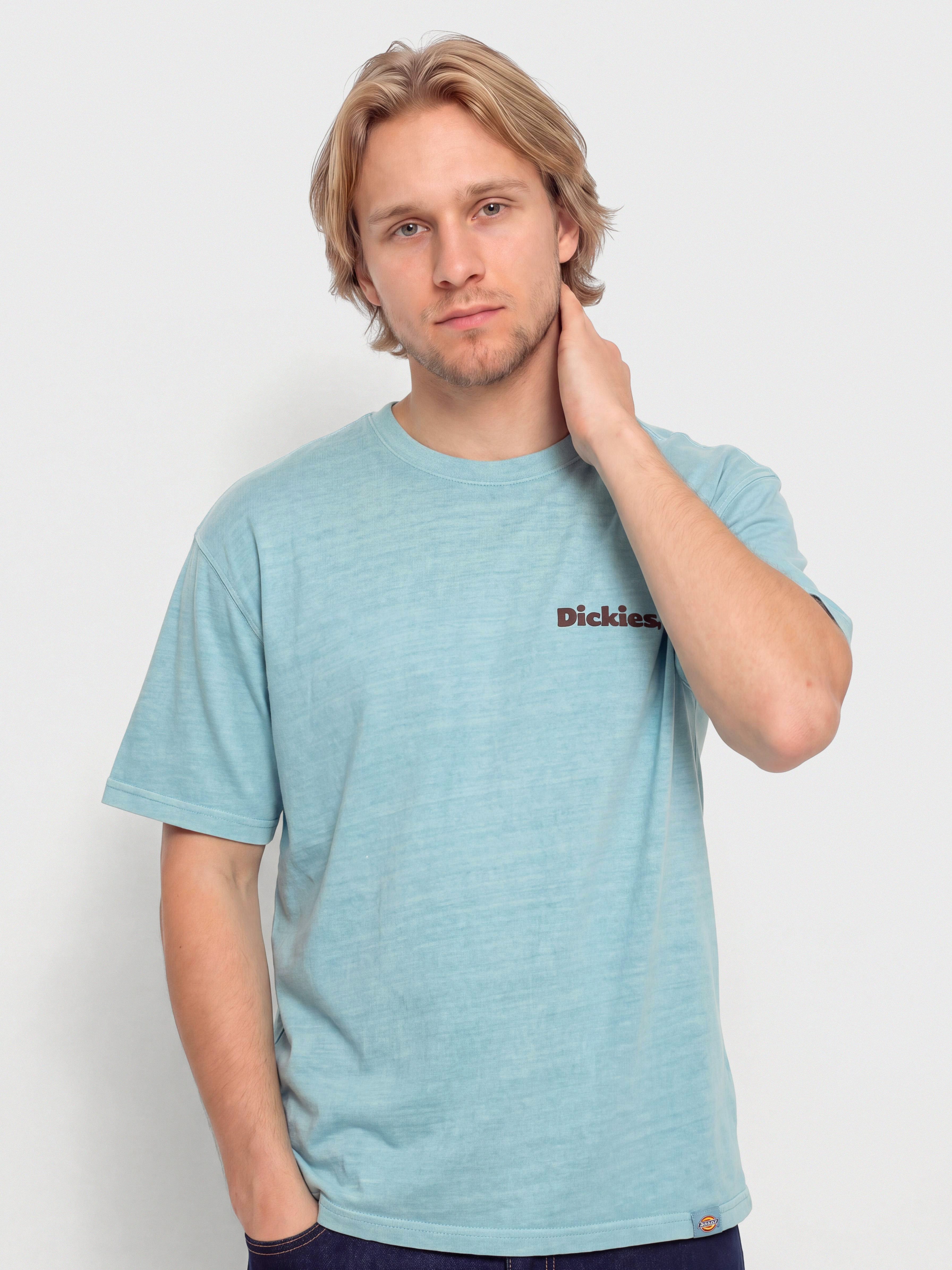 Тениска Dickies Slayden (glacier lake)