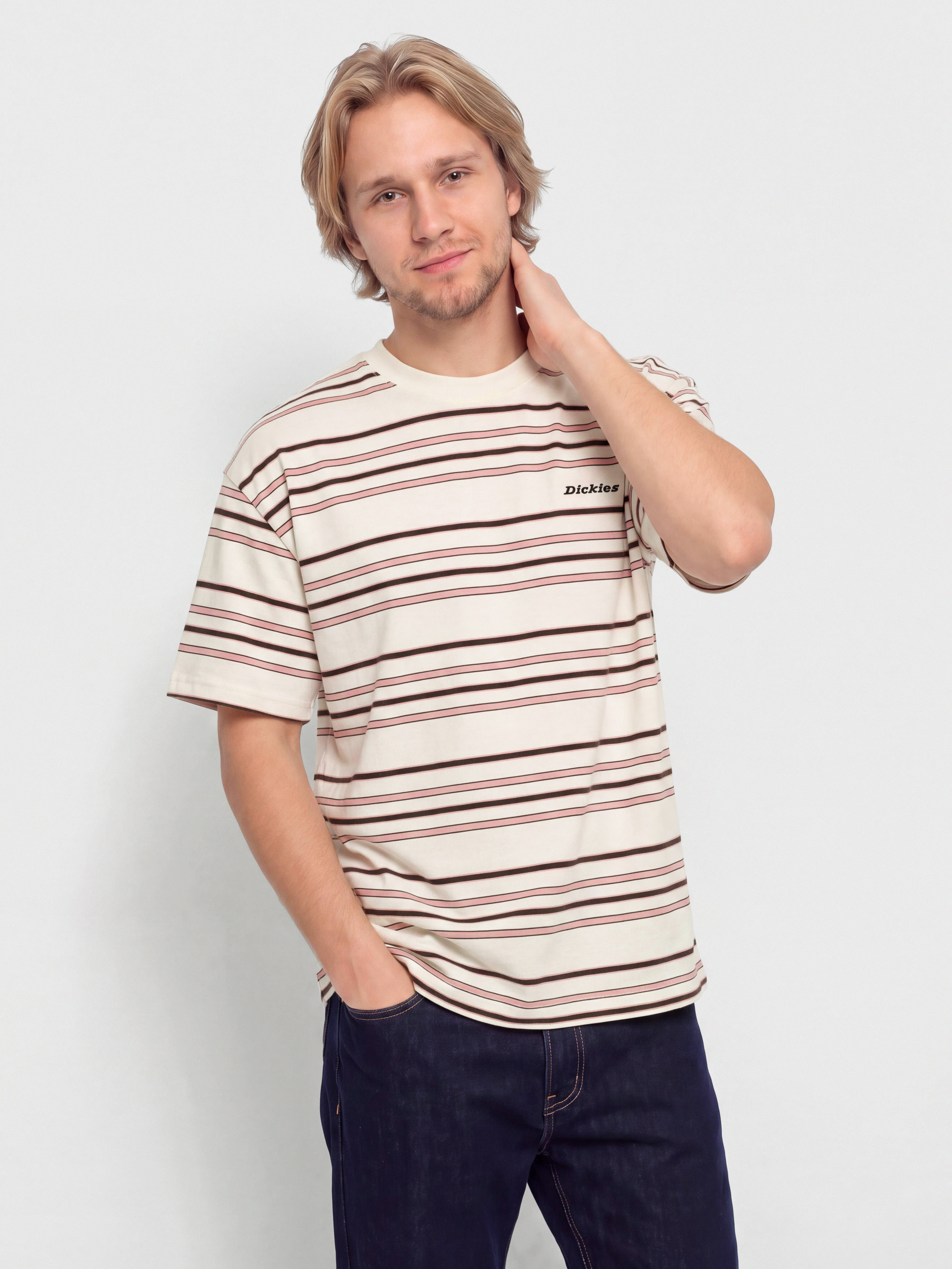Тениска Dickies East Liberty Stripe (egret)