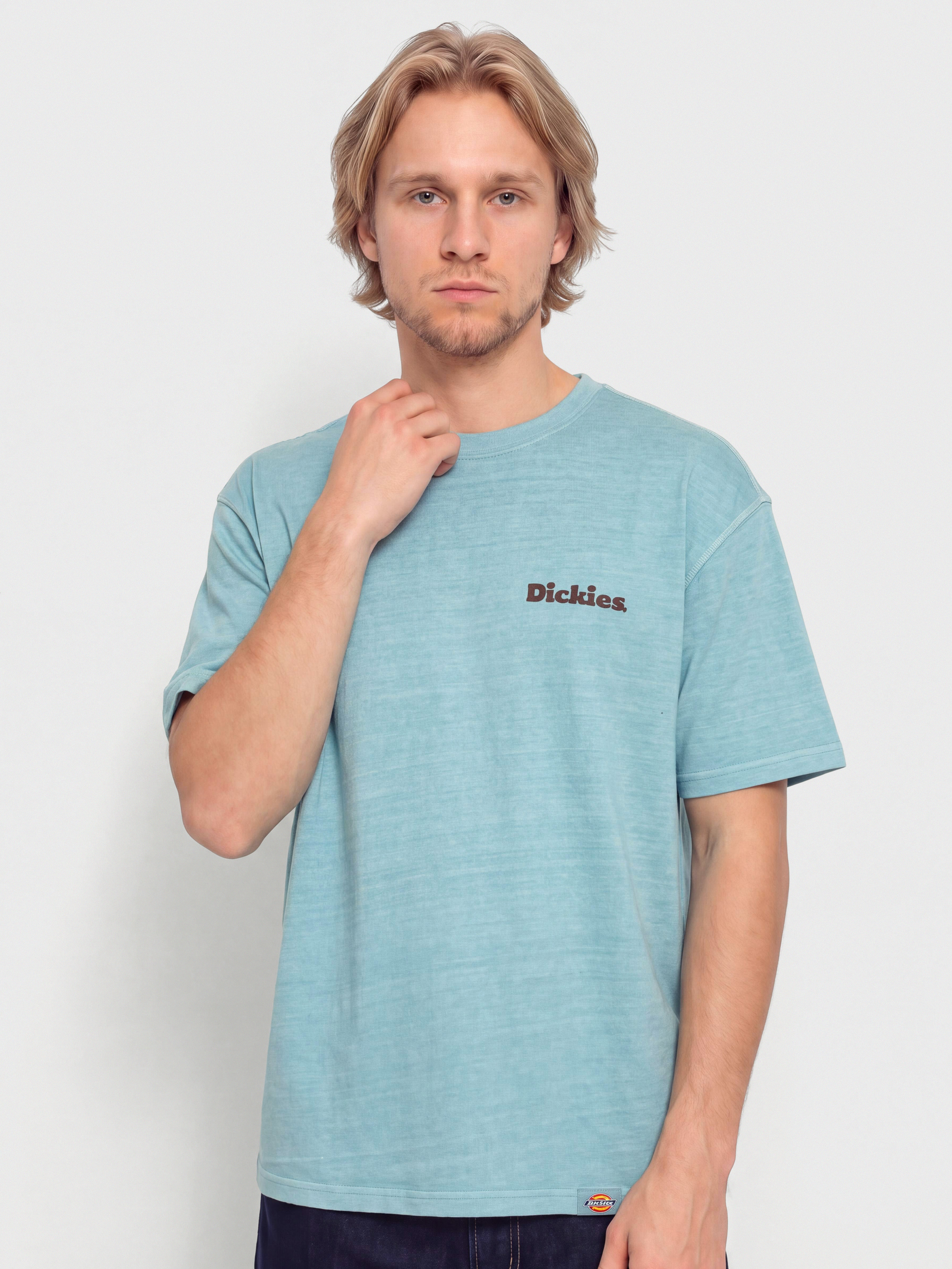 Тениска Dickies Slayden (glacier lake)