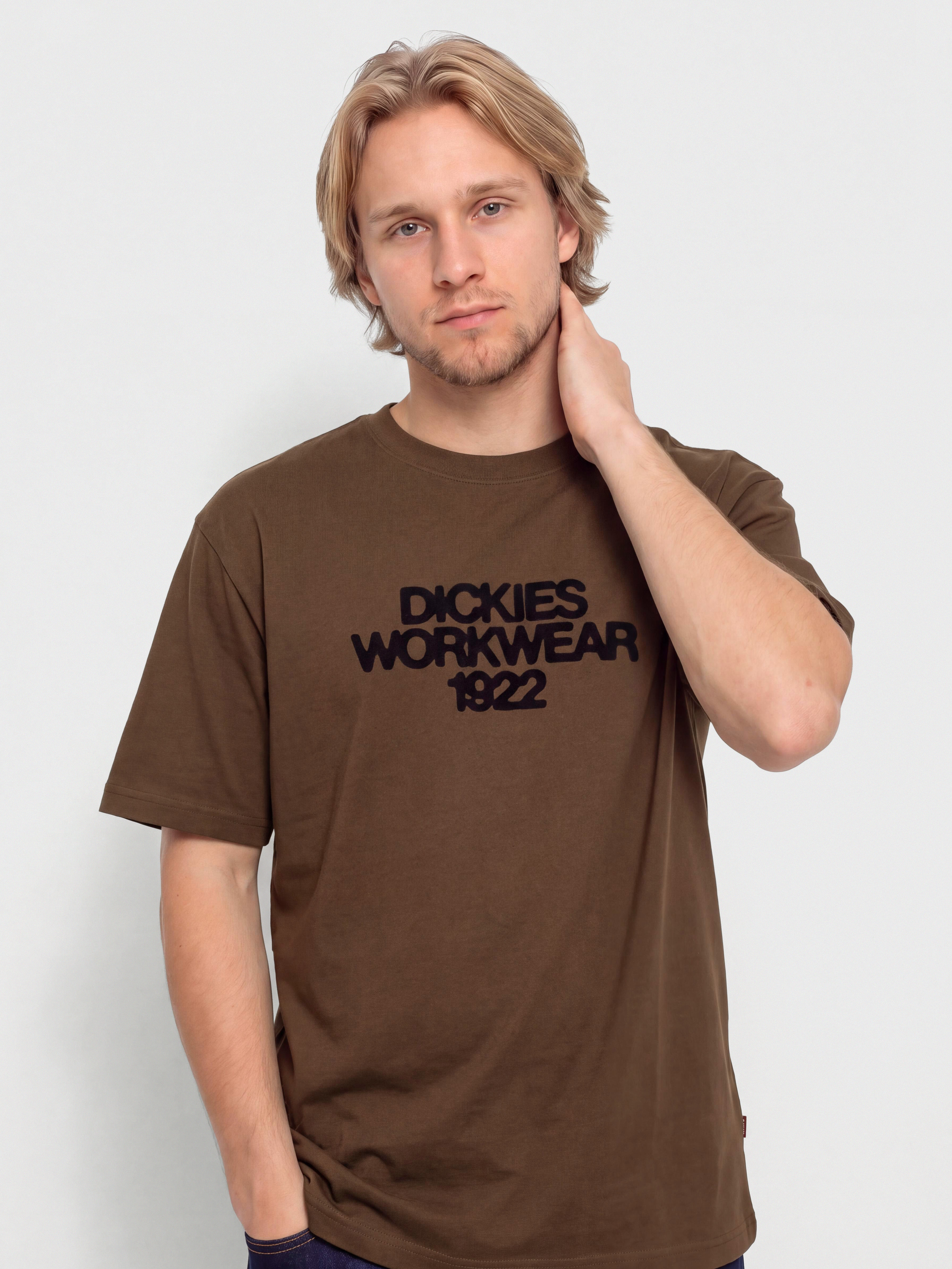 Тениска Dickies Torrey