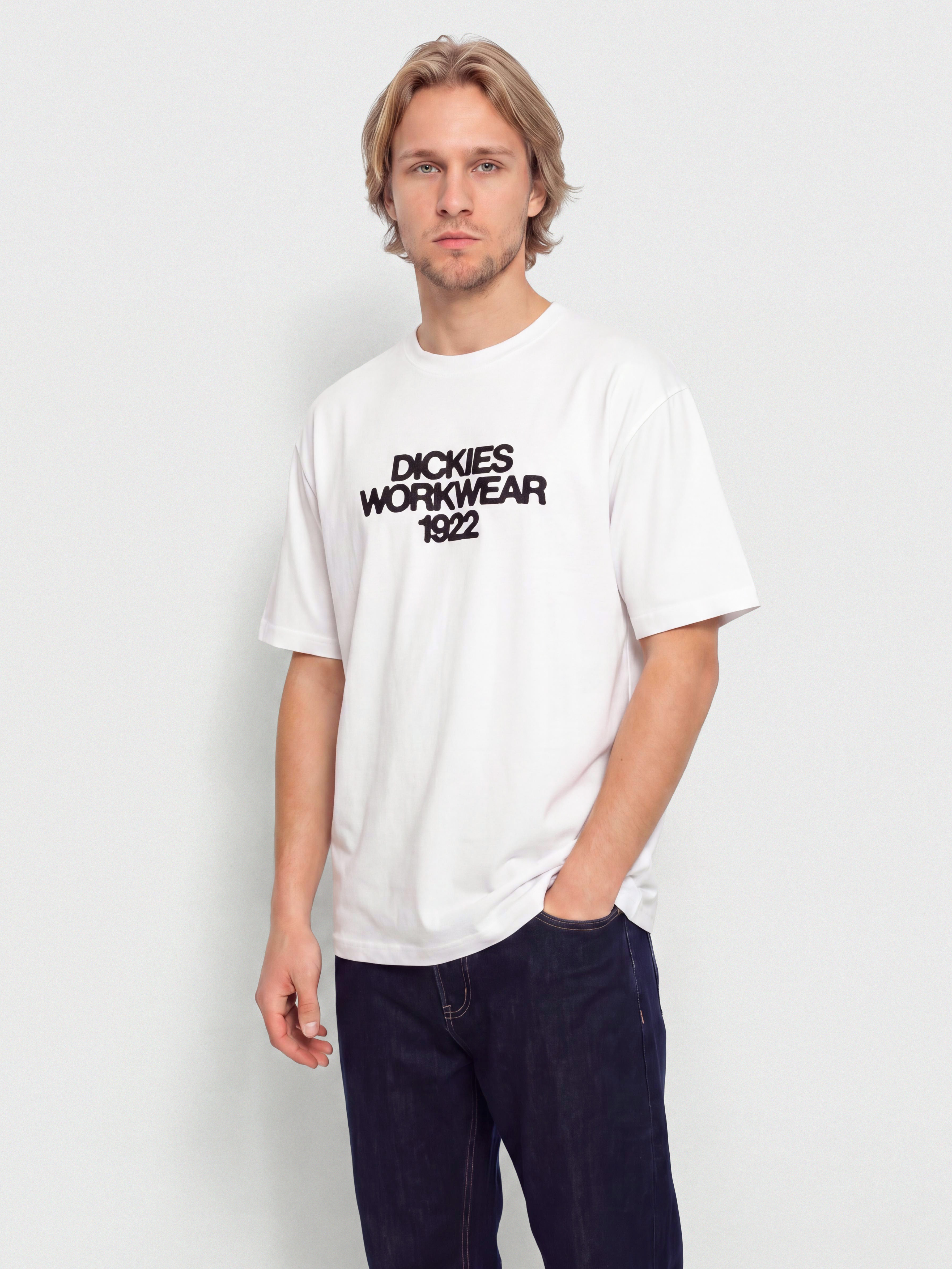 Тениска Dickies Torrey (white)