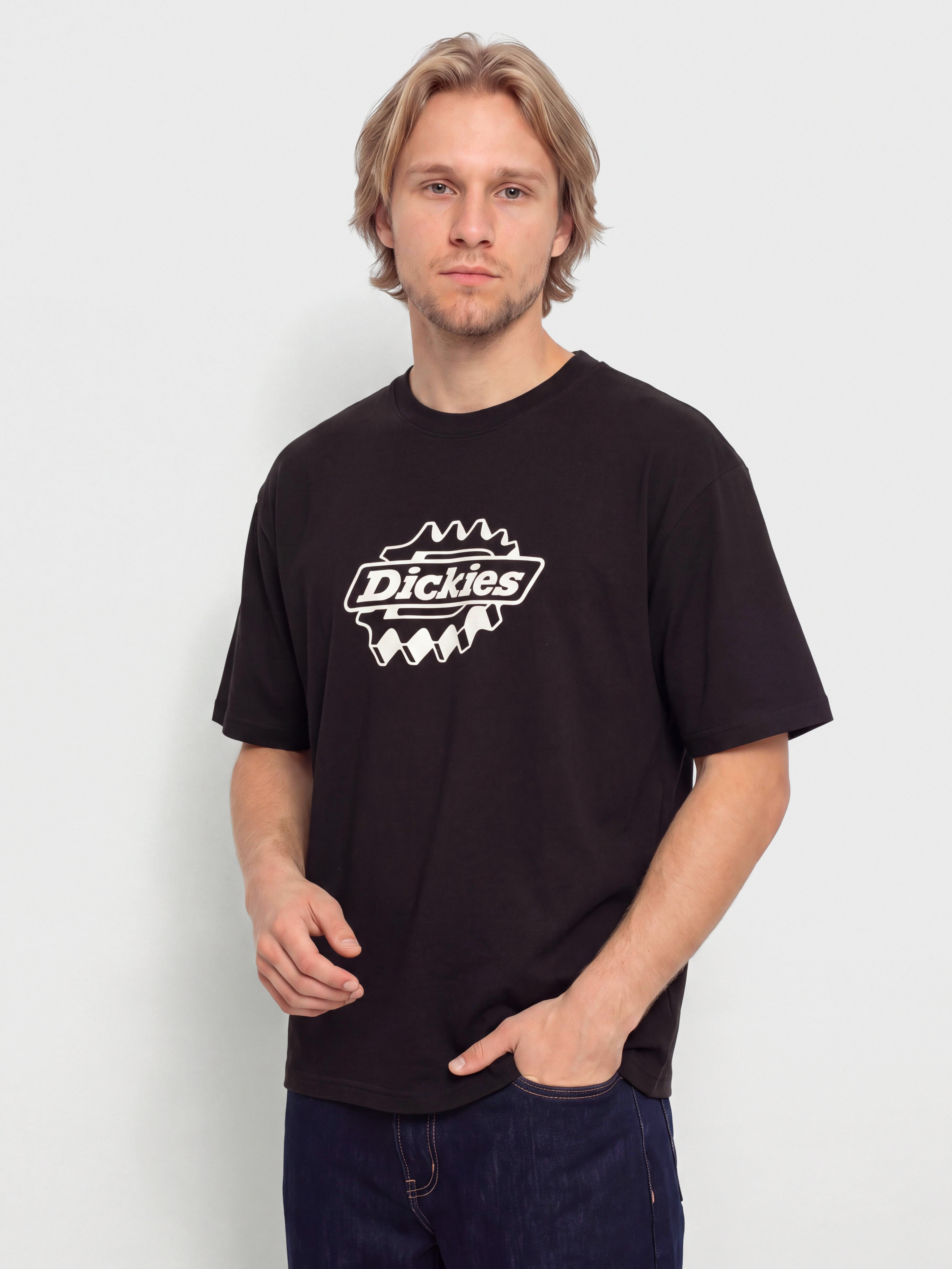 u0422u0435u043du0438u0441u043au0430 Dickies Irondale (black)