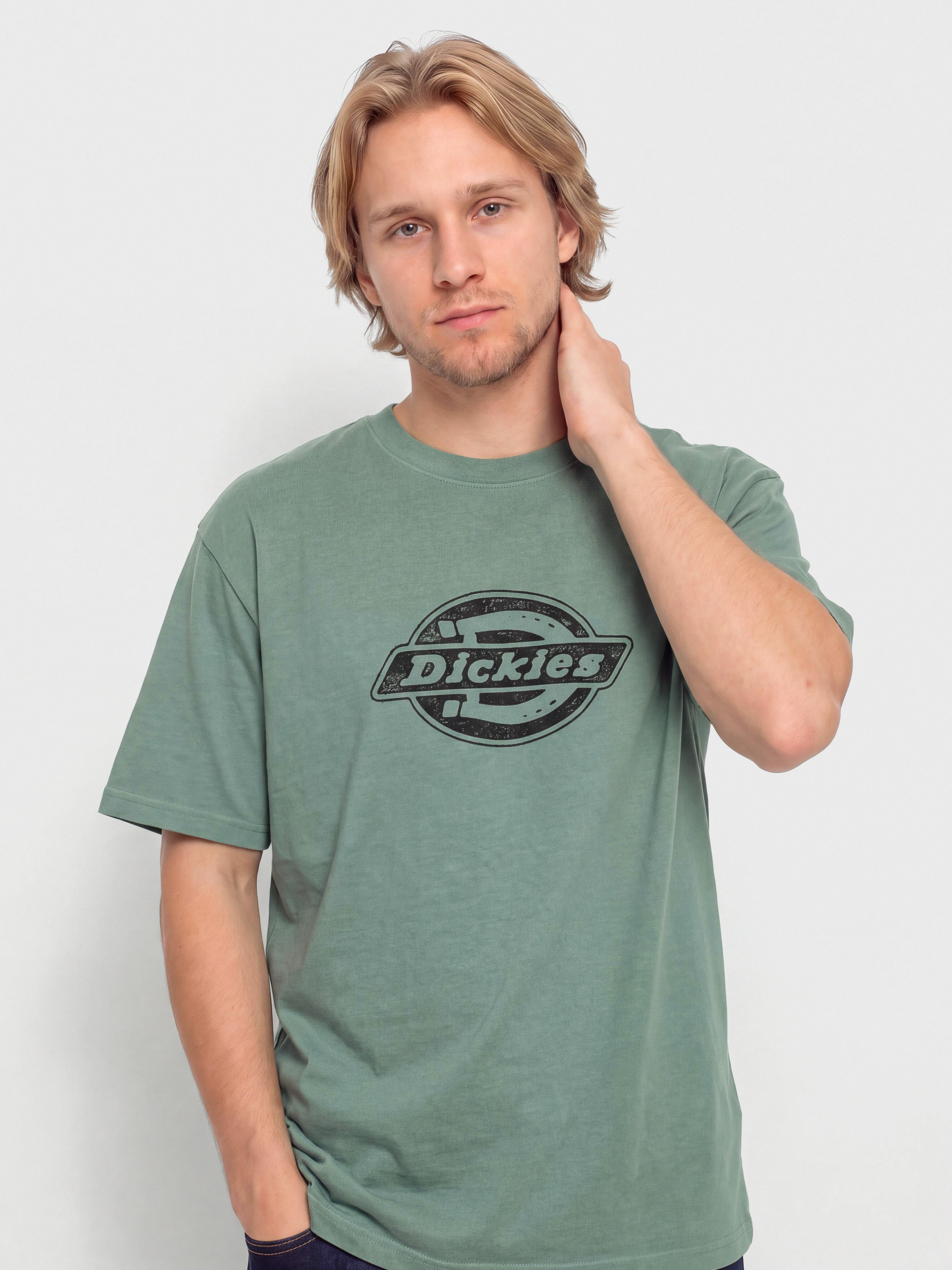 Тениска Dickies Plainville (stormy sea)