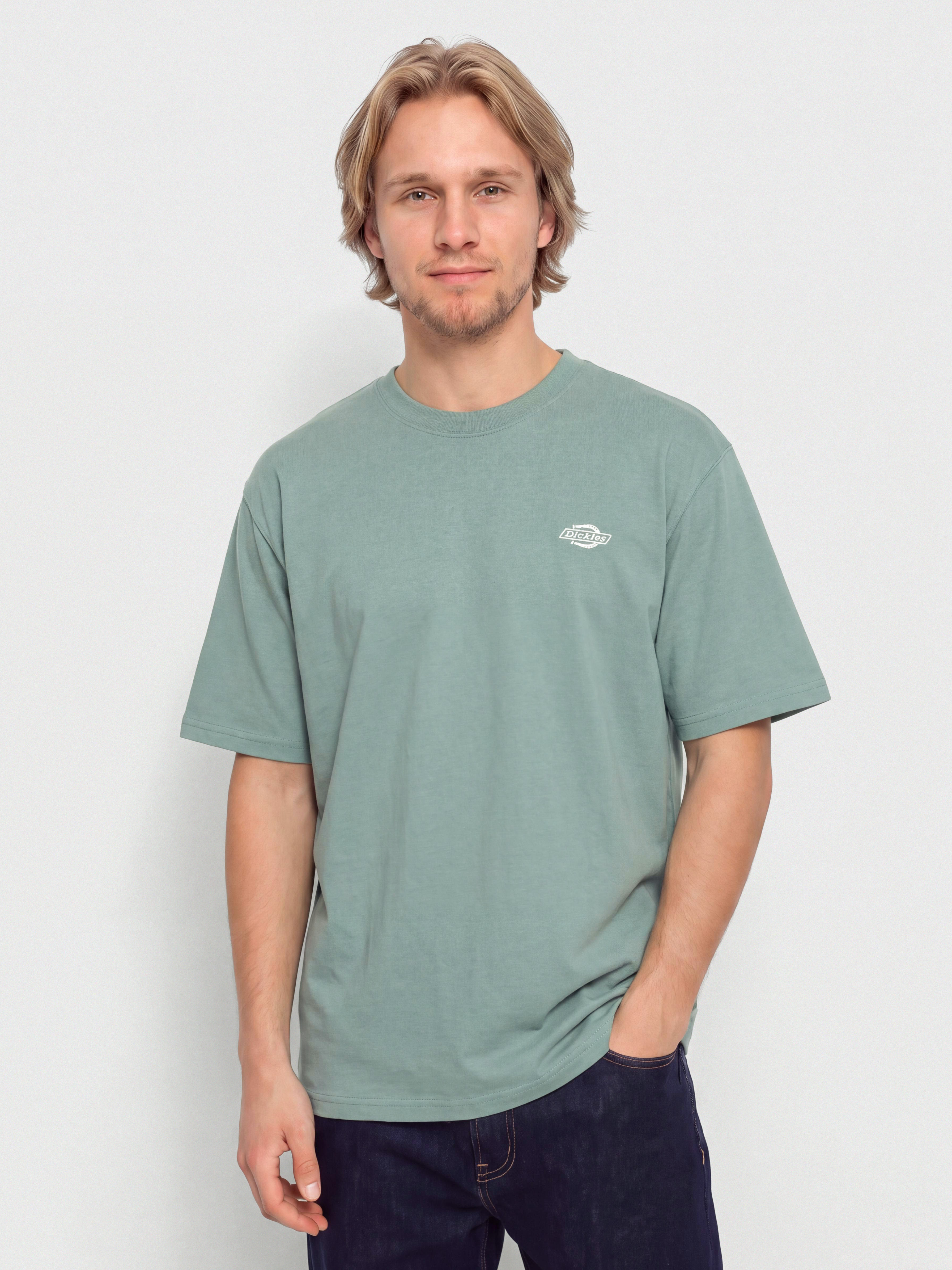 Тениска Dickies Summerdale (stormy sea)
