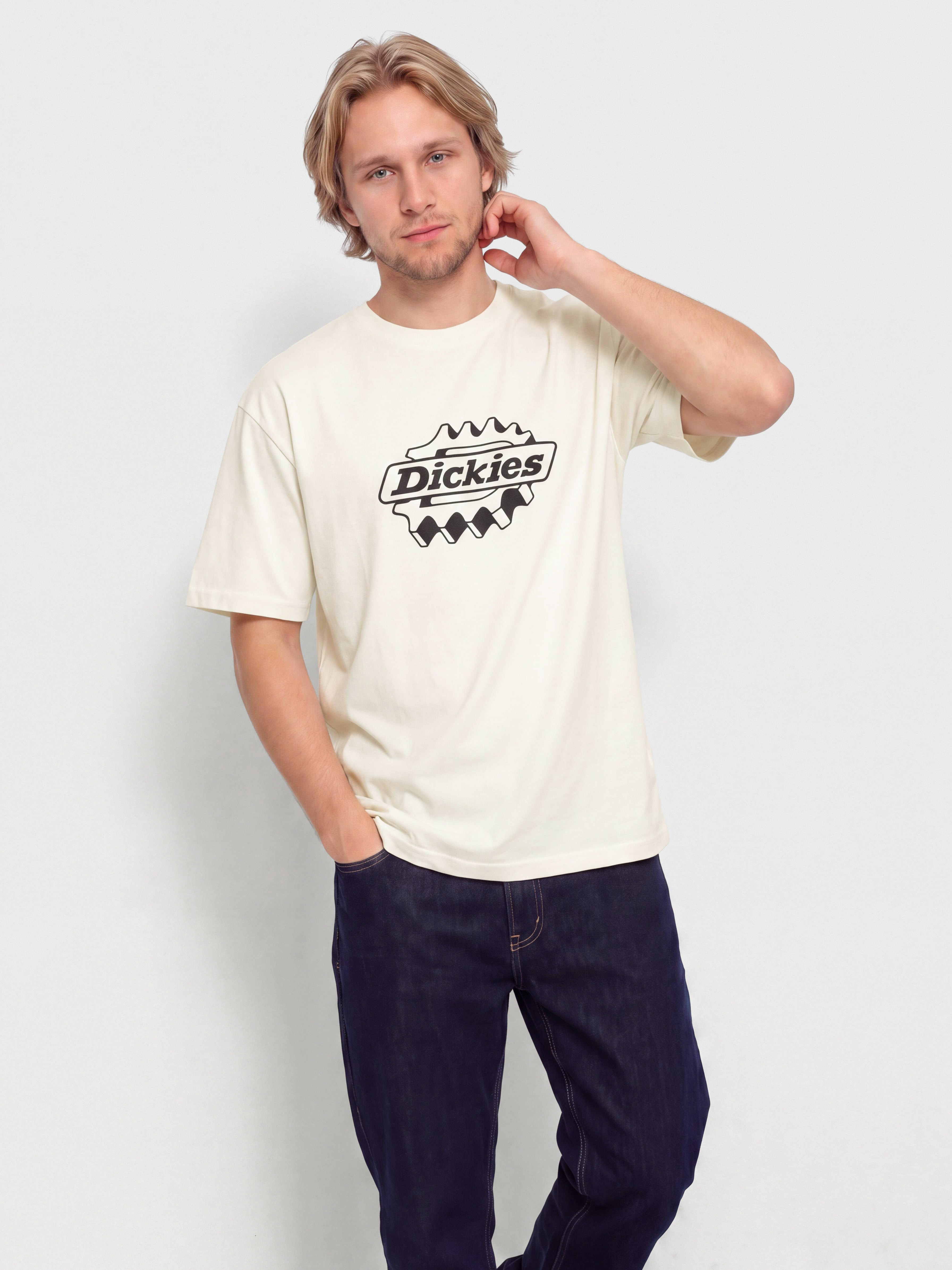 u0422u0435u043du0438u0441u043au0430 Dickies Irondale (egret)
