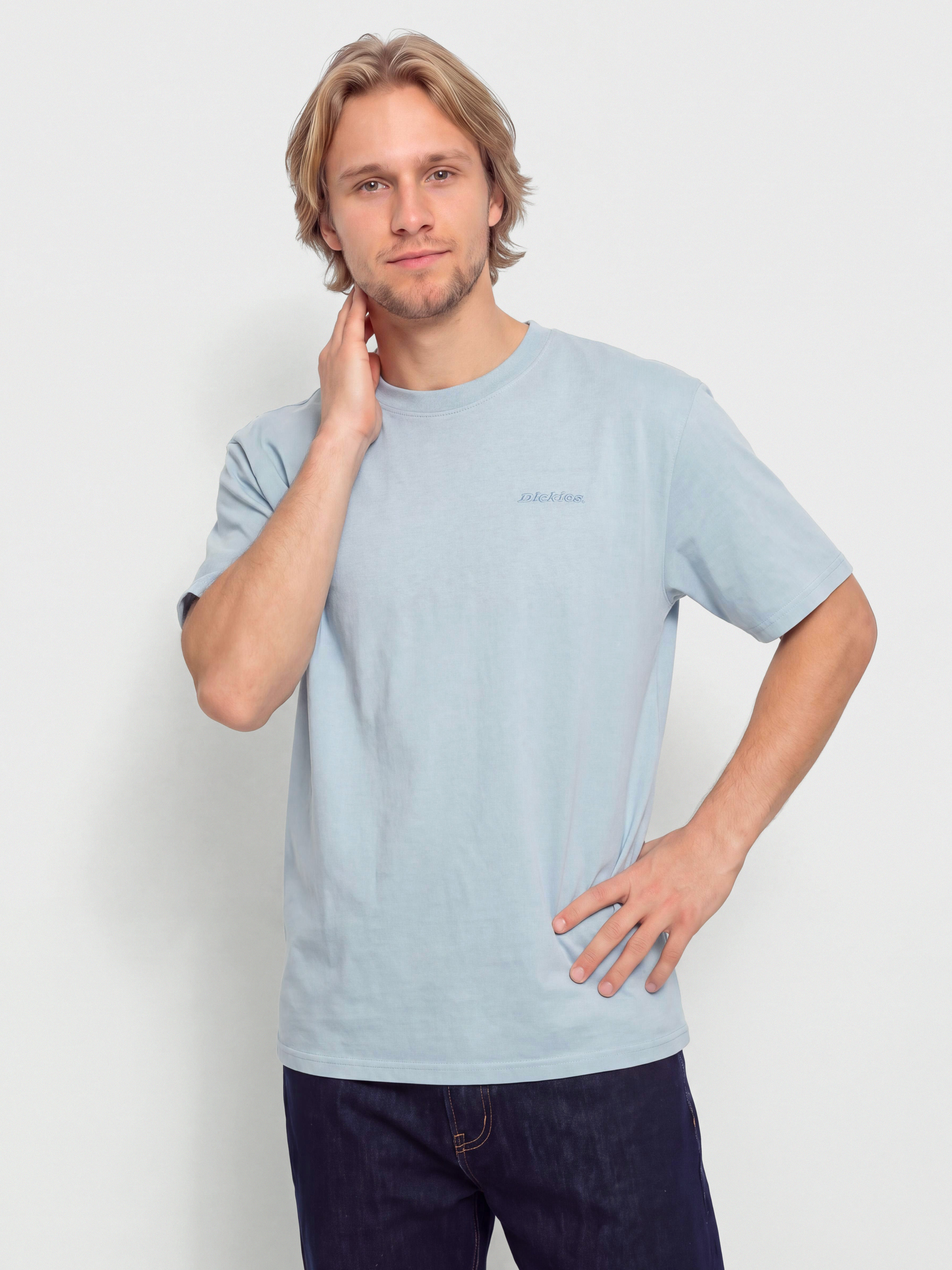 Тениска Dickies Plentywood (endless sky)