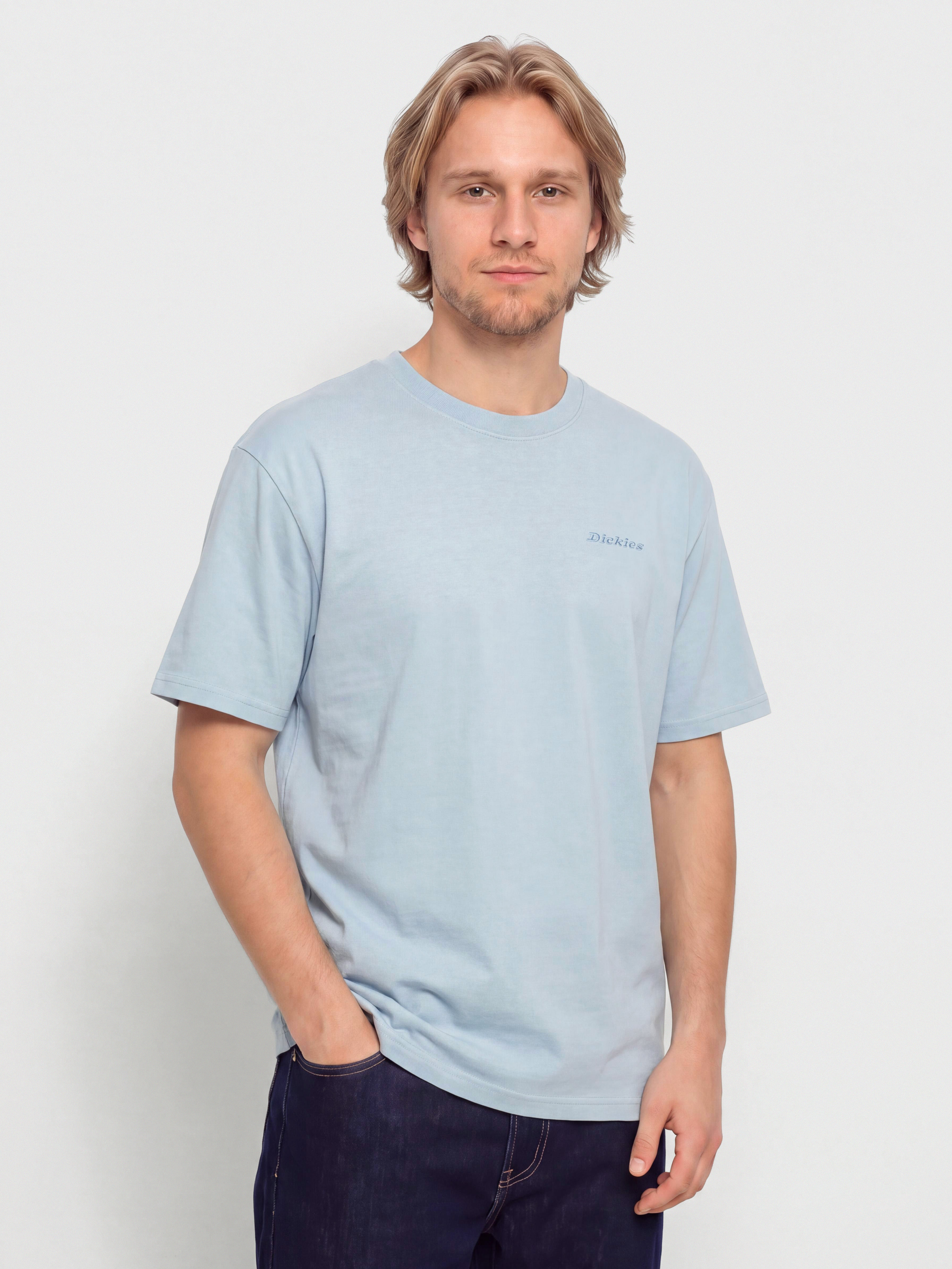 Тениска Dickies Plentywood (endless sky)