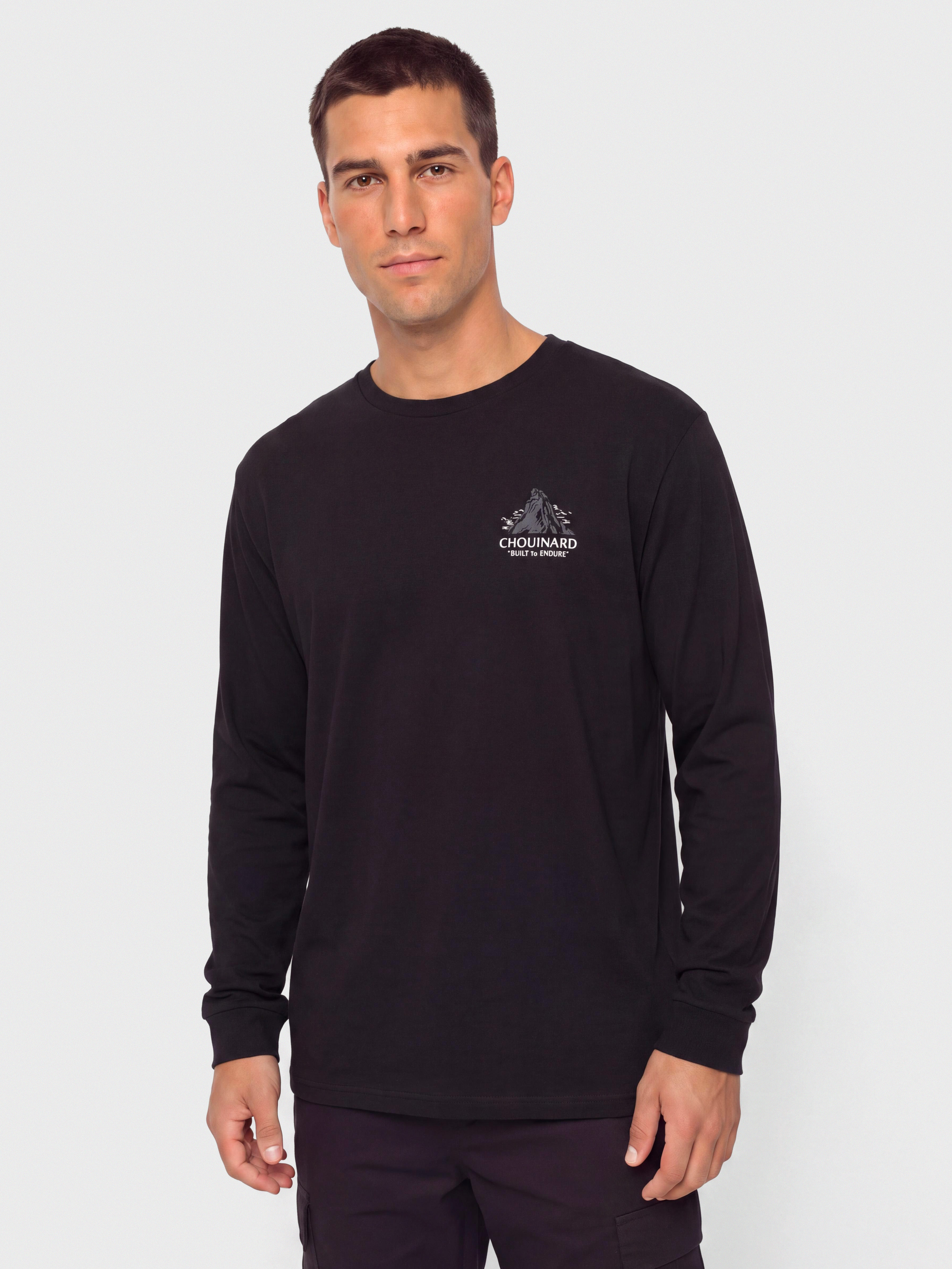 Блуза Patagonia Chouinard Crest Responsibili (black)