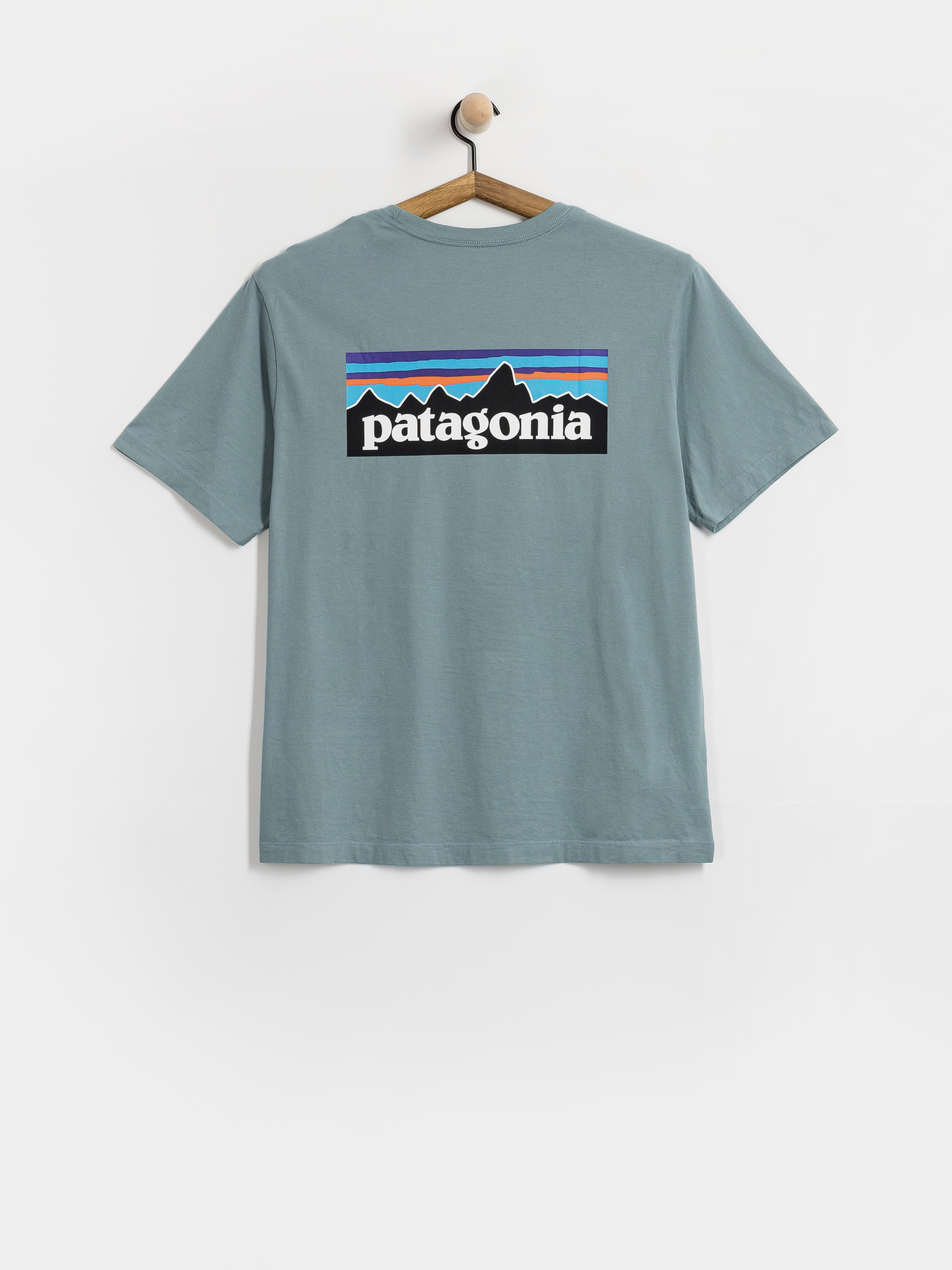 u0422u0435u043du0438u0441u043au0430 Patagonia P 6 Logo (blue sage)