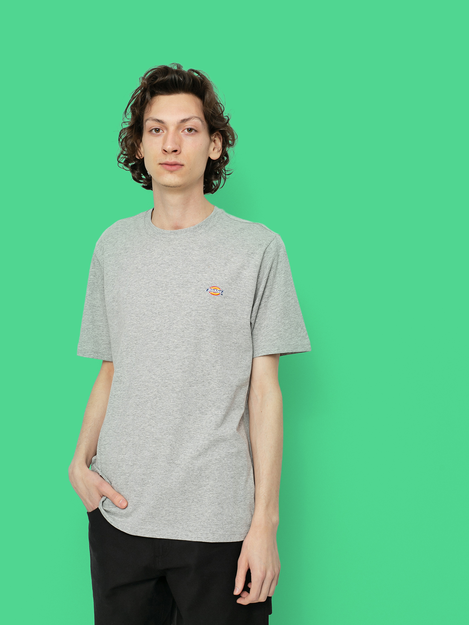 Тениска Dickies Mapleton (grey melange)