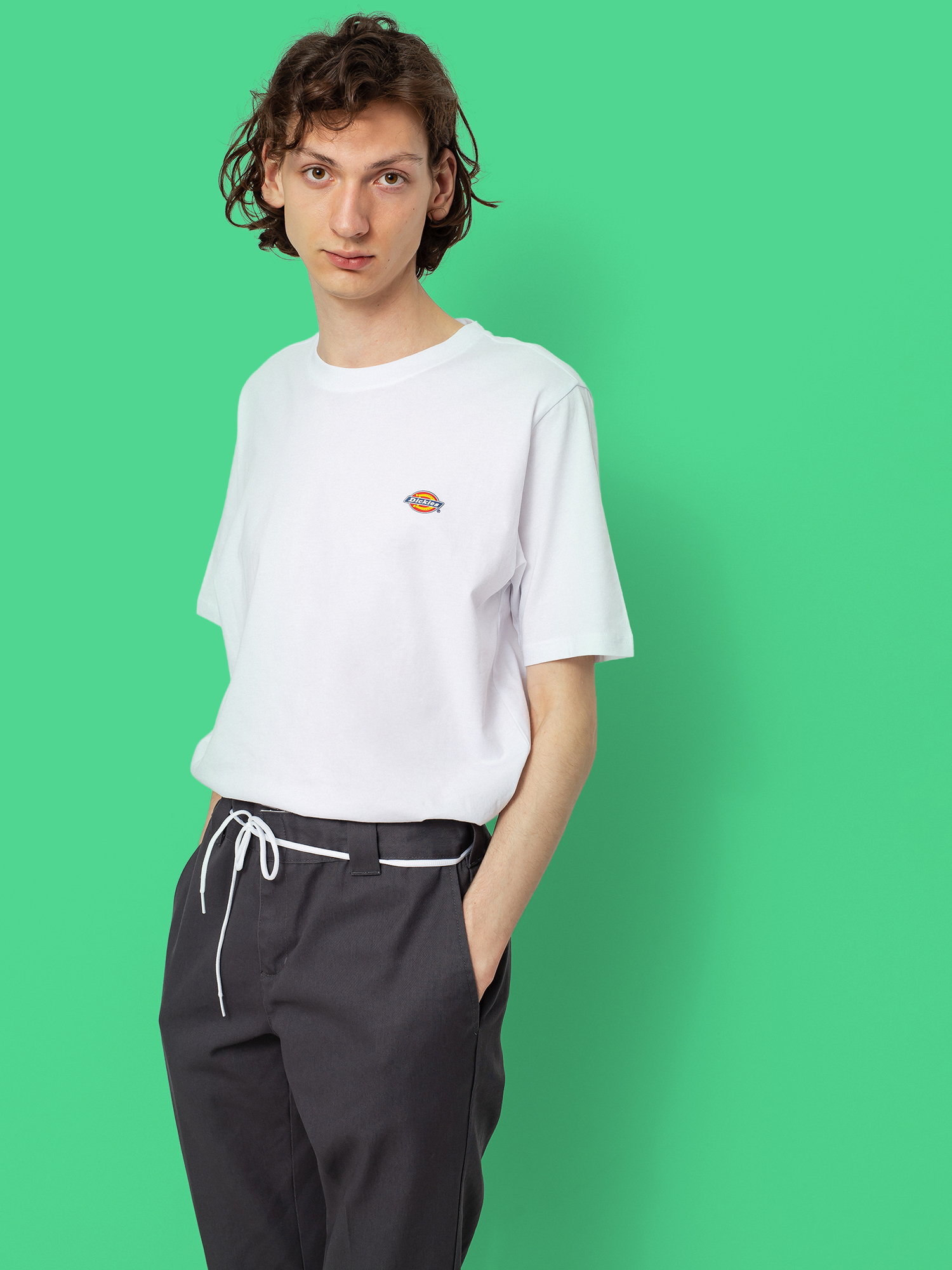 Тениска Dickies Mapleton (white)