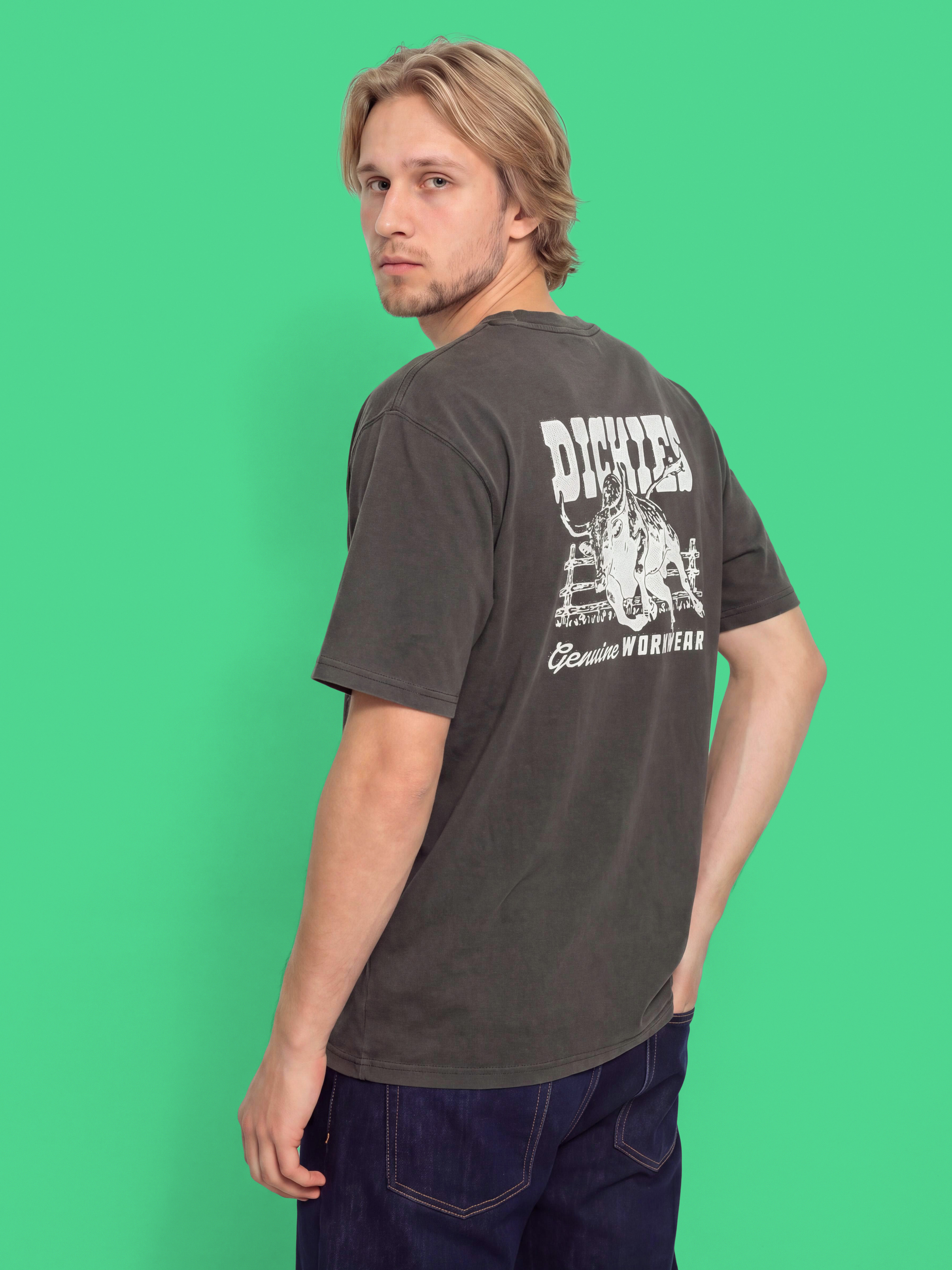 Тениска Dickies Buchtell (black)