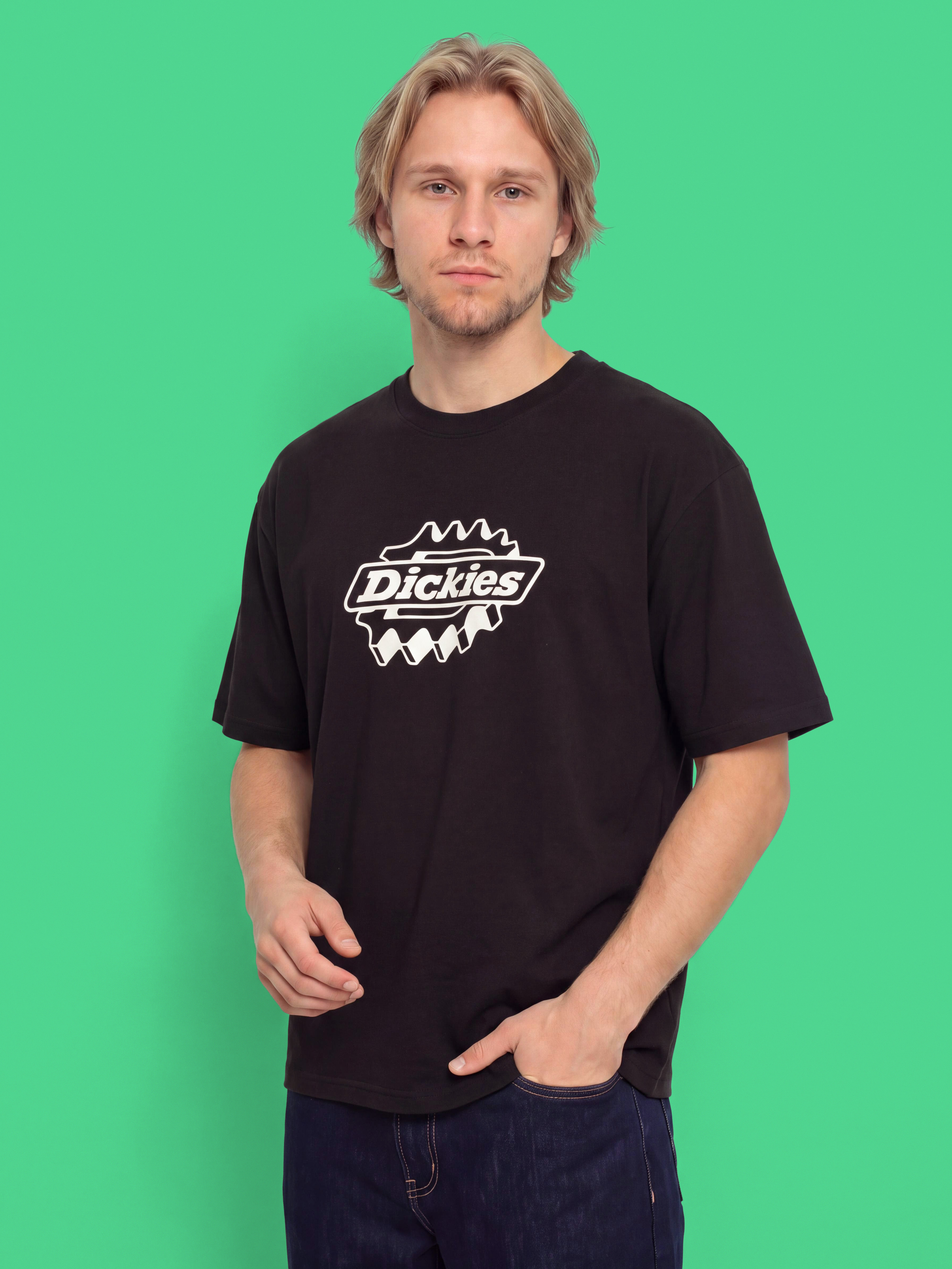 u0422u0435u043du0438u0441u043au0430 Dickies Irondale (black)