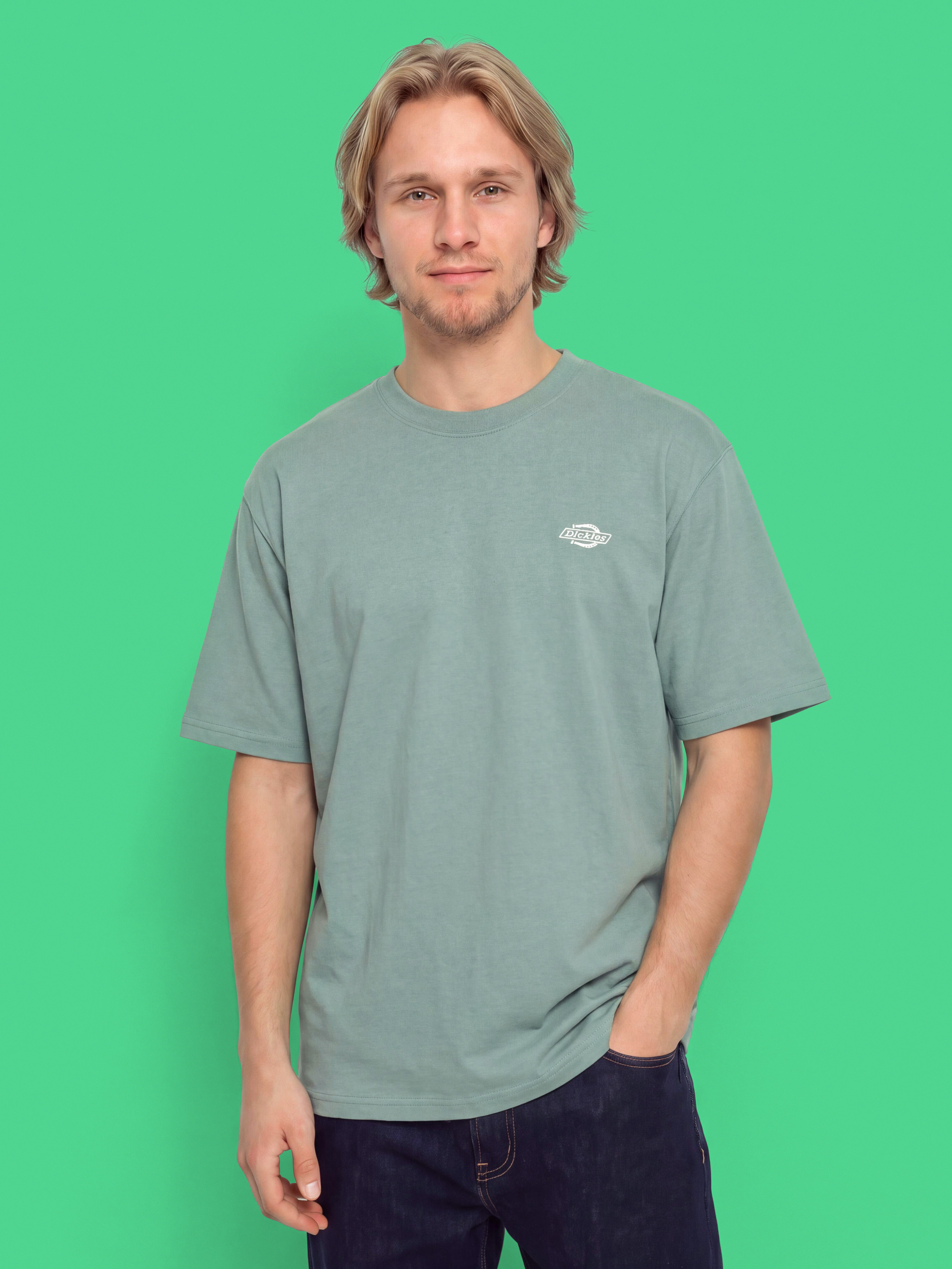 u0422u0435u043du0438u0441u043au0430 Dickies Summerdale (stormy sea)