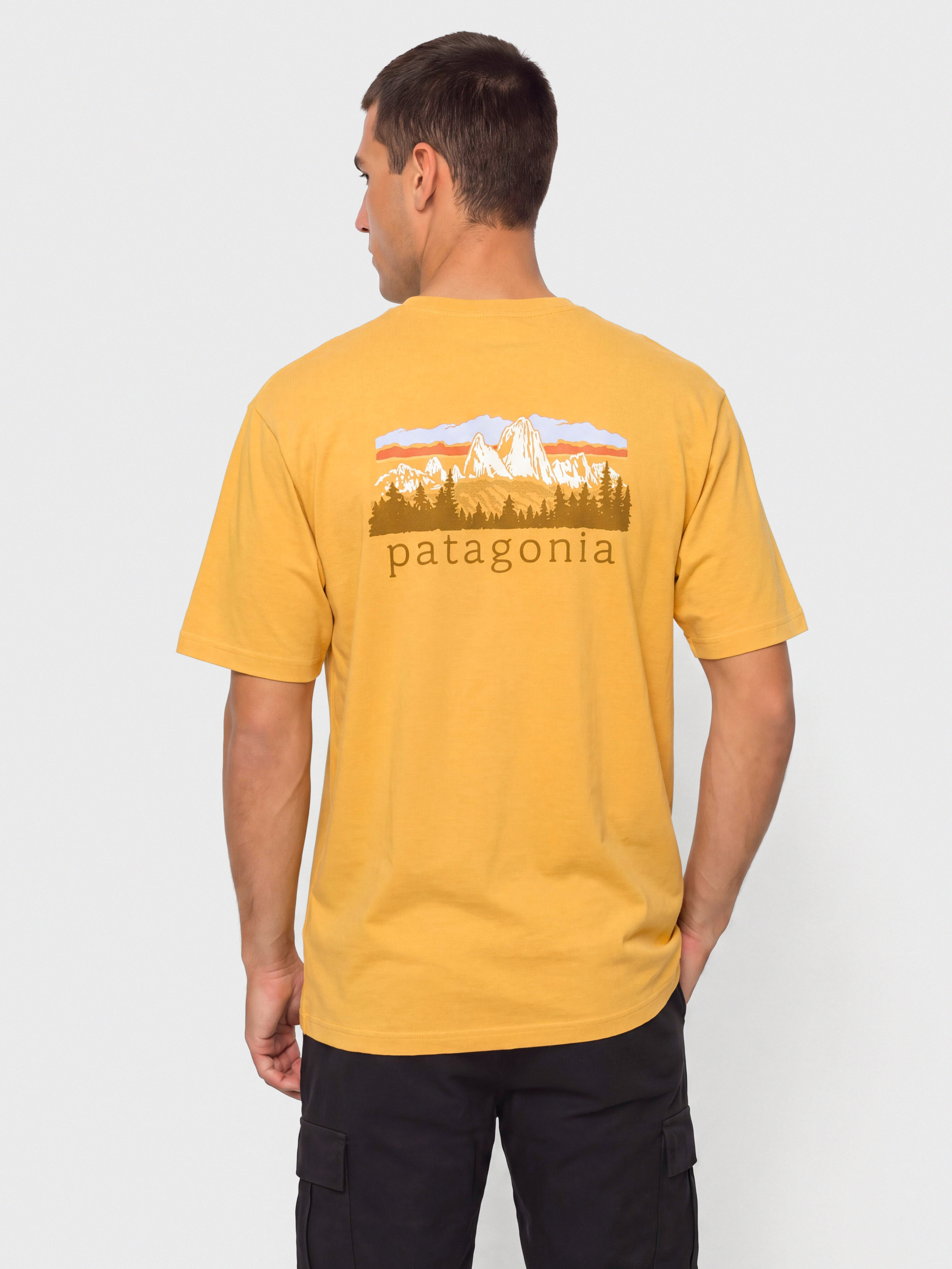 u0422u0435u043du0438u0441u043au0430 Patagonia Fitz Roy Foothills (dried mango)