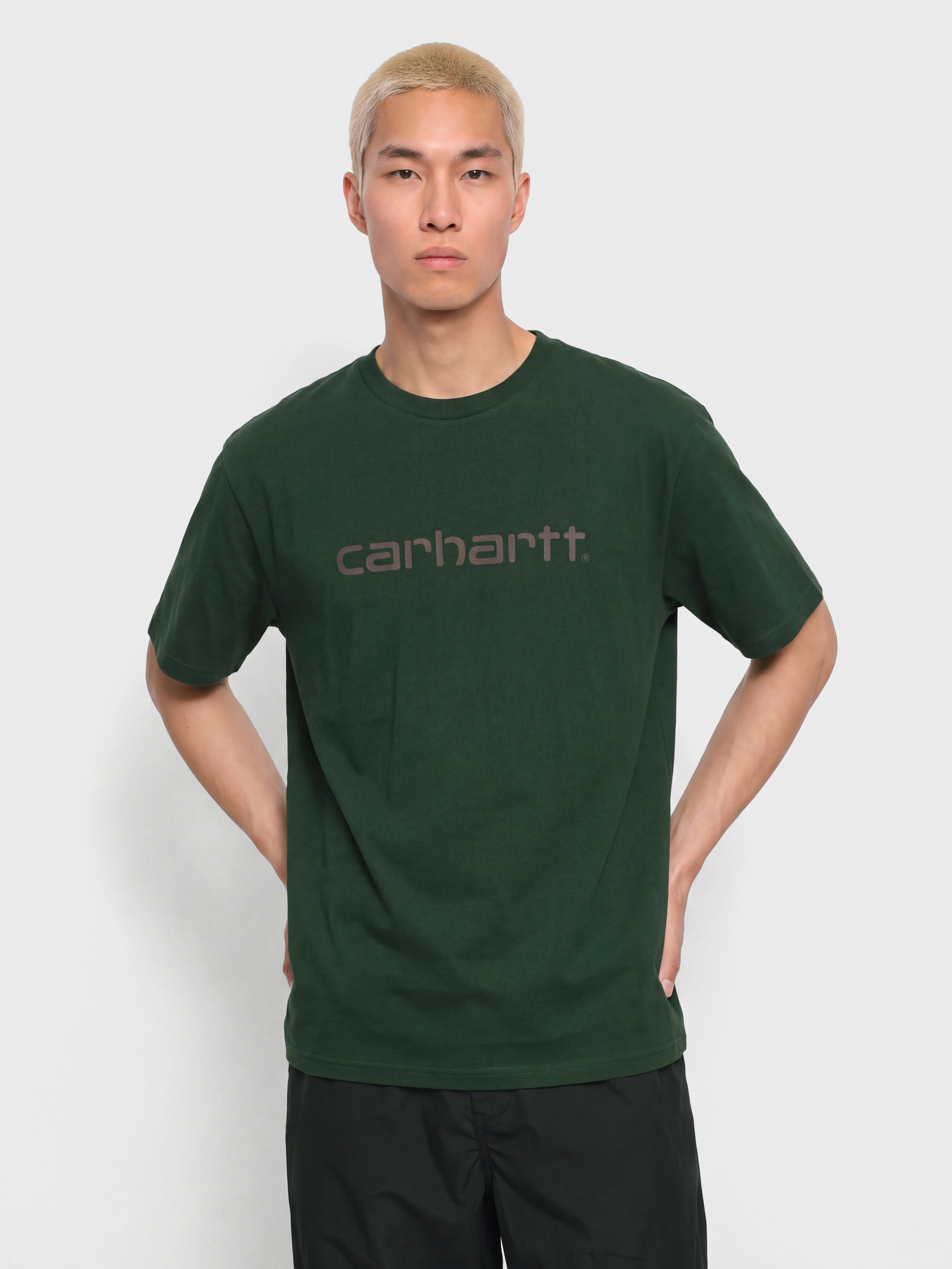 Тениска Carhartt WIP Script (dark scarab/palisander)