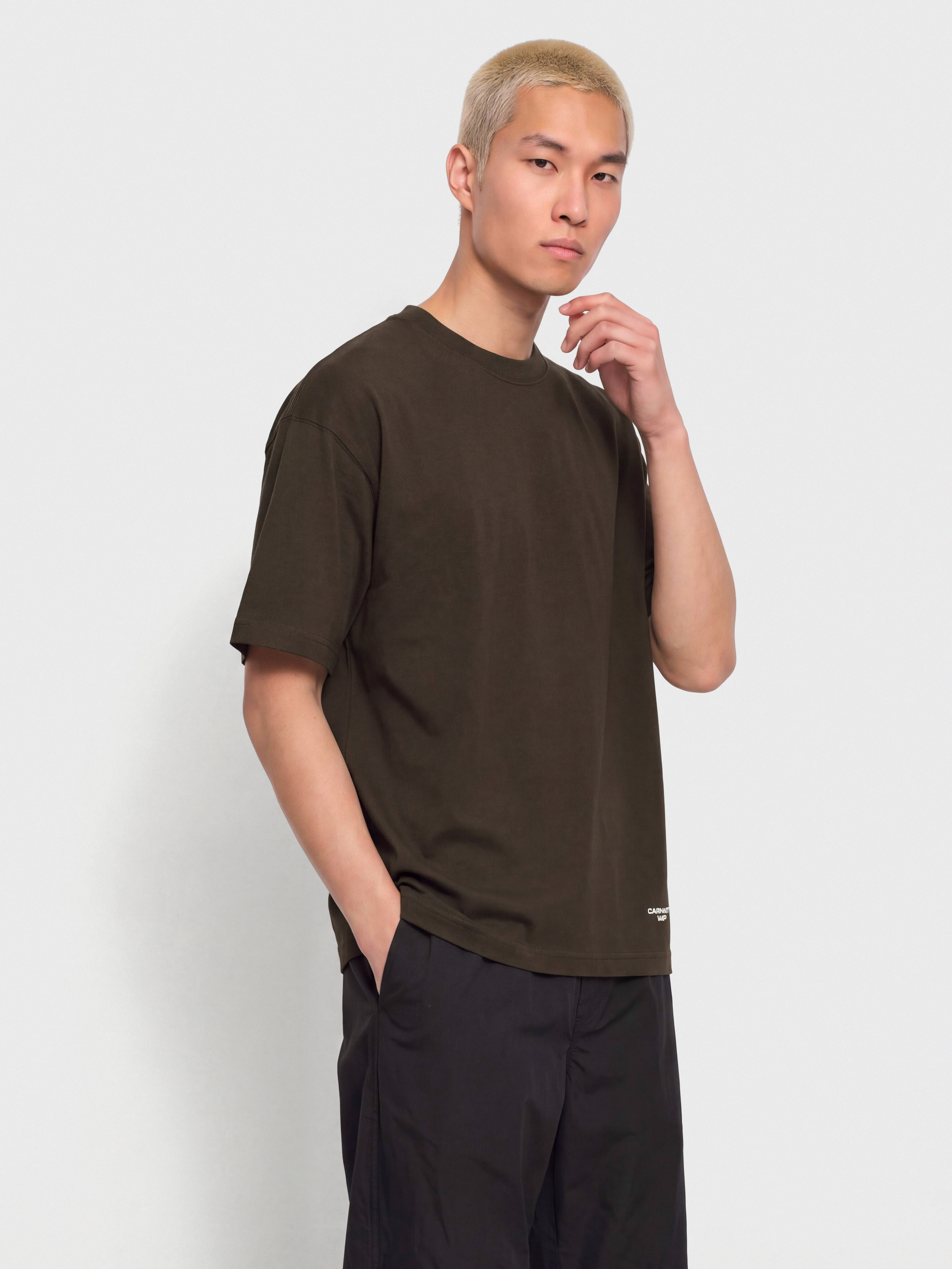 Тениска Carhartt WIP Chapter Script (tobacco/white)