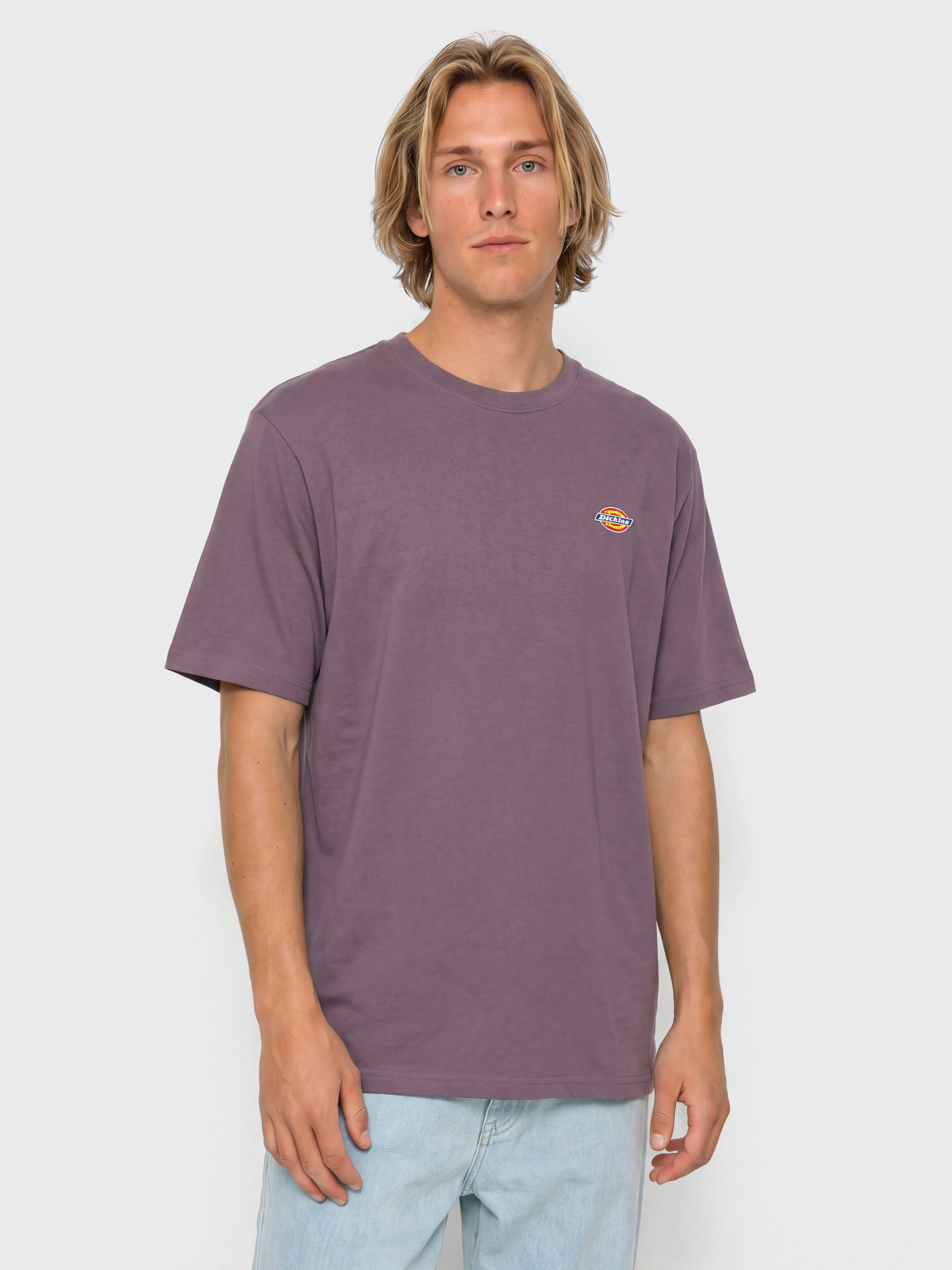 u0422u0435u043du0438u0441u043au0430 Dickies Mapleton (vintage violet)