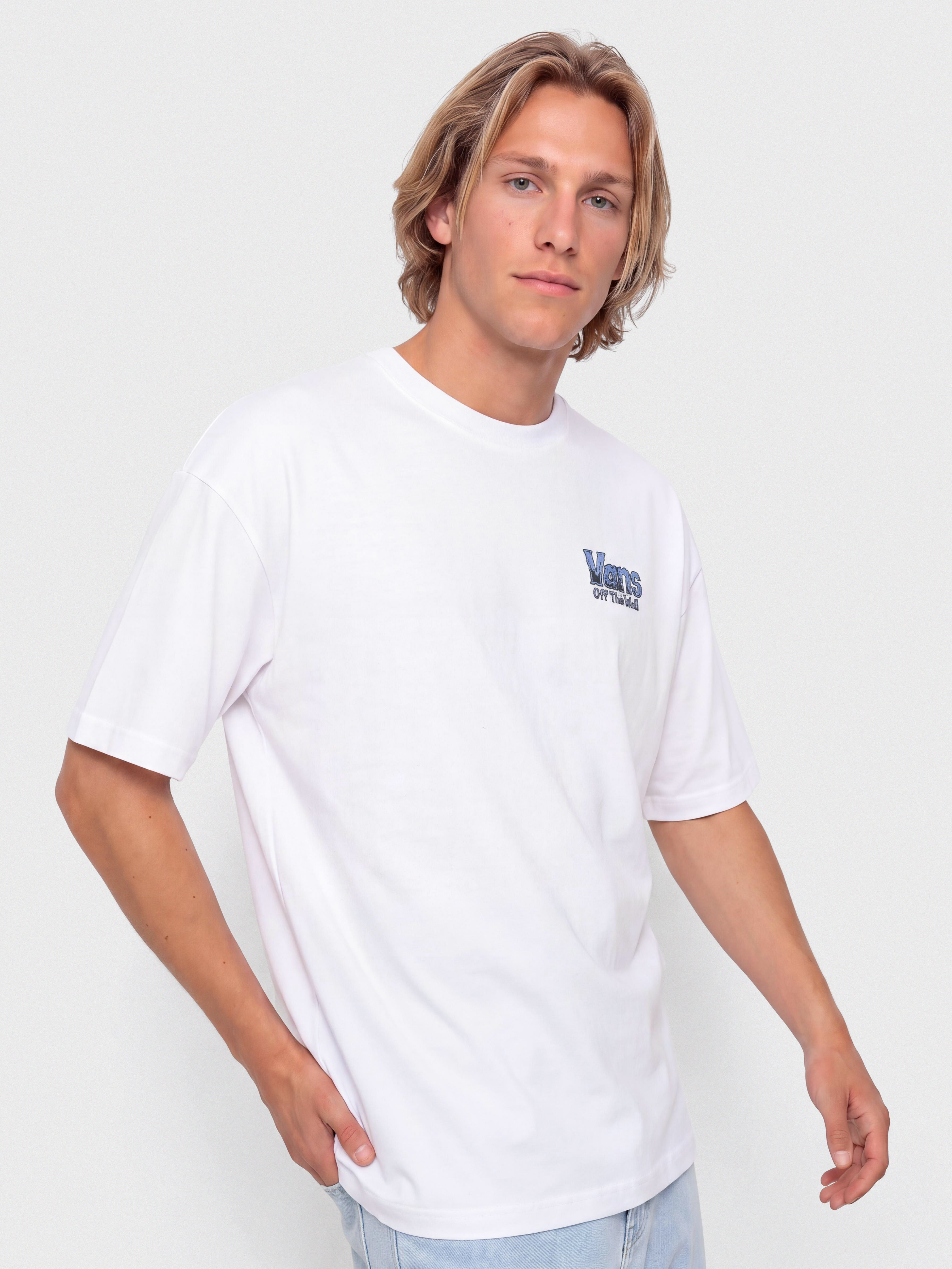 u0422u0435u043du0438u0441u043au0430 Vans Z Legacy Loose (white)