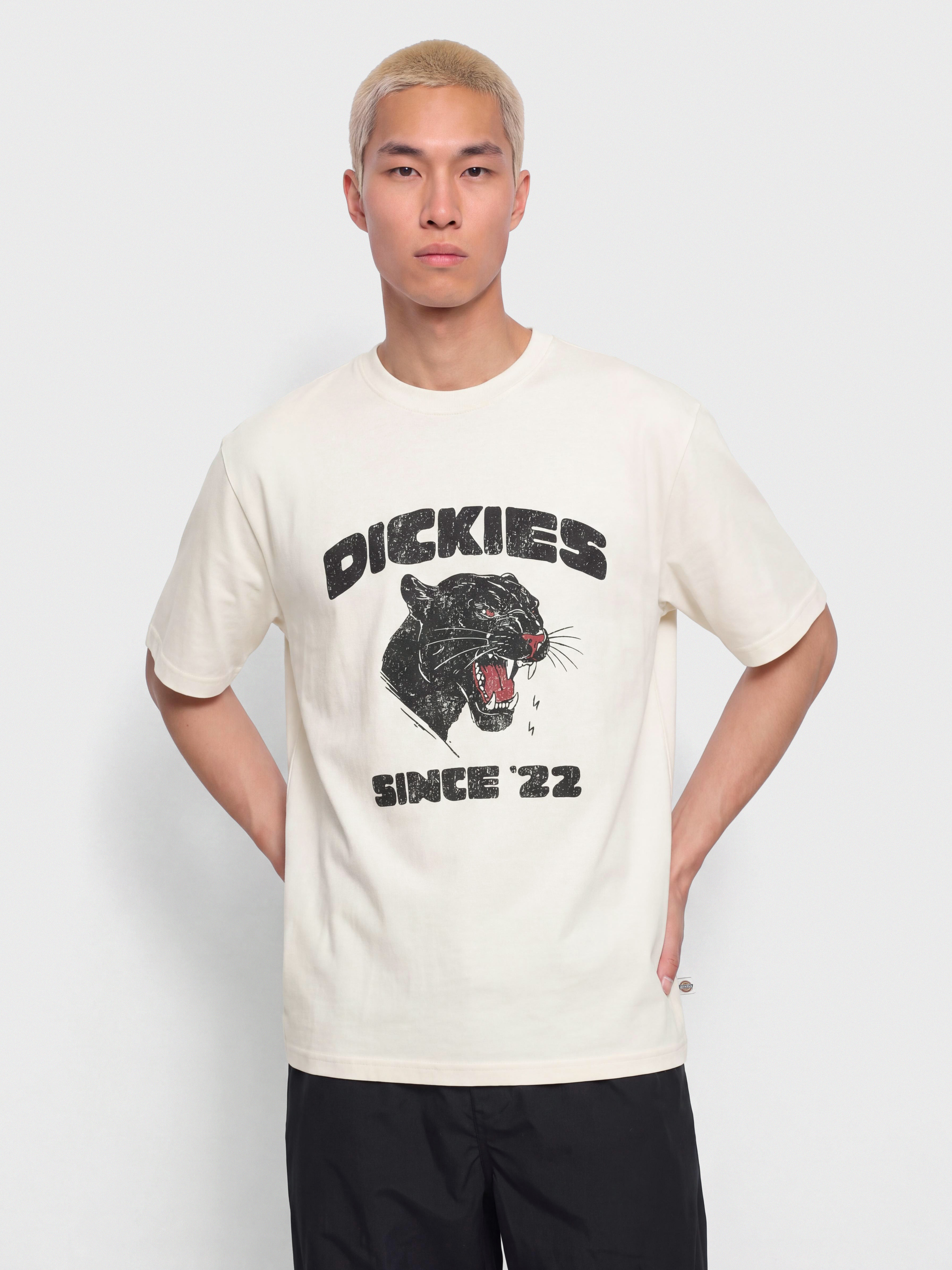 Тениска Dickies Mcdermitt (egret)
