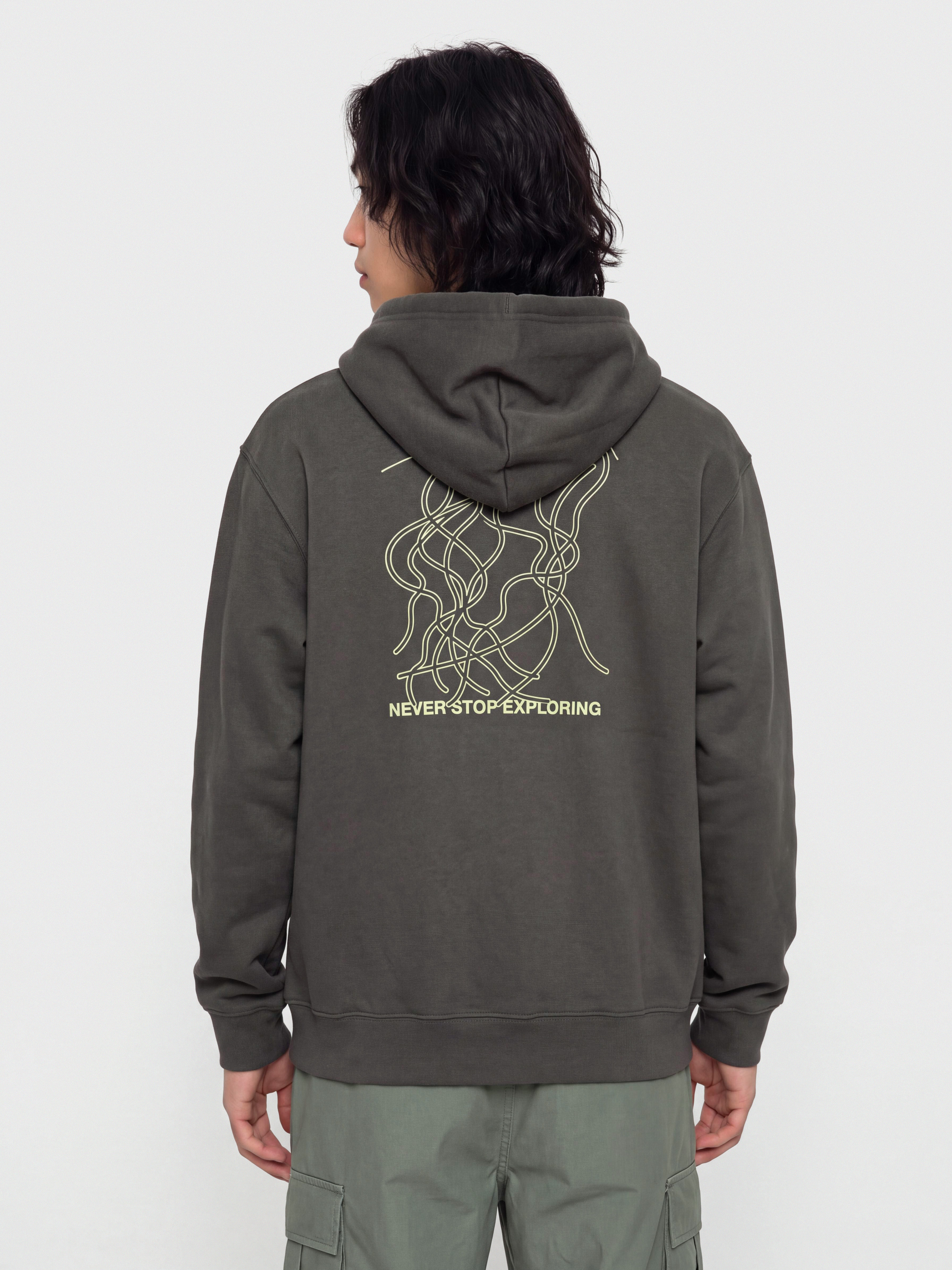 Суитшърт с качулка The North Face Nse Slopes Relaxed HD (anthracite grey)